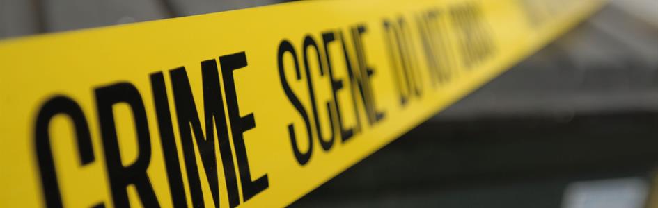Estude casos práticos de criminologia.
