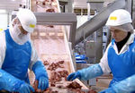 CURSO HIGIENE E SEGURANÇA ALIMENTAR NO SECTOR DAS CARNES - FORMAÇÃO INICIAL 
