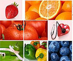 Curso de Nutrição Clínica