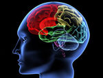 FORMAÇÃO AVANÇADA PÓS-UNIVERSITÁRIA EM NEUROPSICOLOGIA