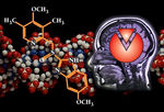 CURSO PSICOFARMACOLOGIA