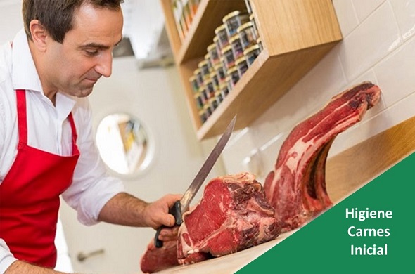 Curso de Formação Higiene e Segurança Alimentar no Sector Das Carnes - Formação Inicial