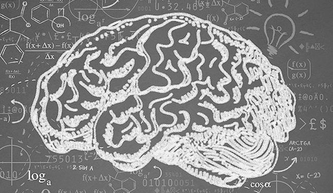 banner cerebro