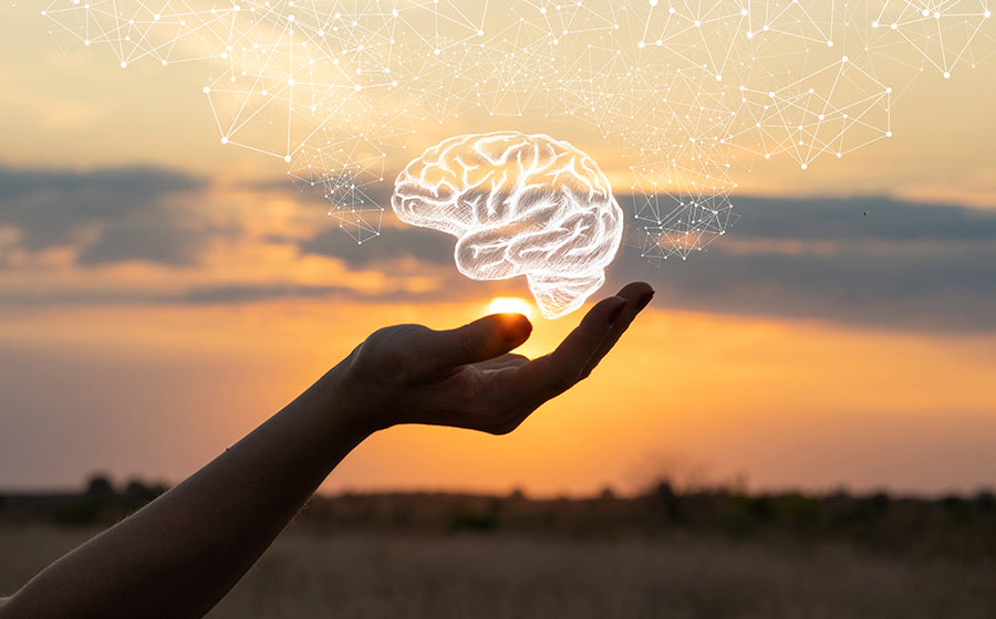 Novo modelo de organização dos Serviços de Saúde Mental